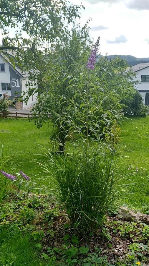 Ferienwohnung Vreni 게르슈펠트 외부 사진